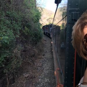 Meet your Posher, Sylvia